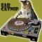New Mix: Ear Catnip